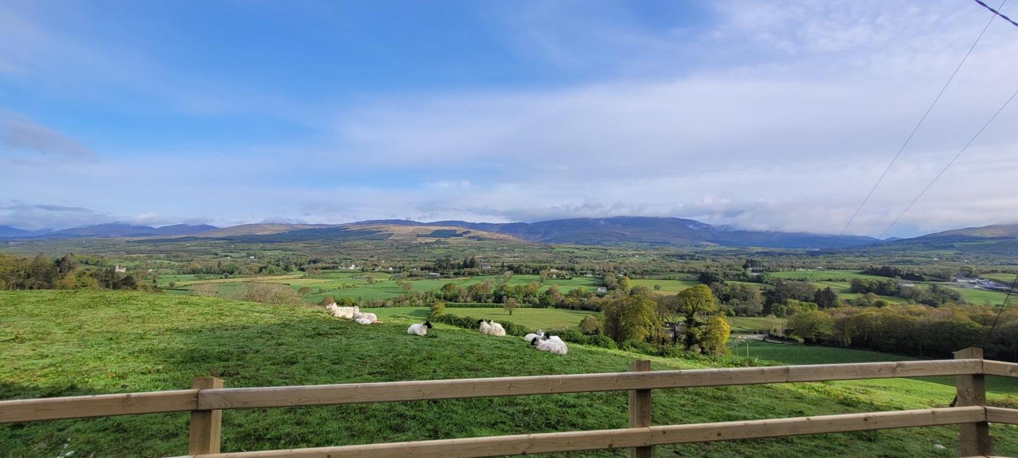Country Suite - Spectacular Views Kilgarvan Esterno foto