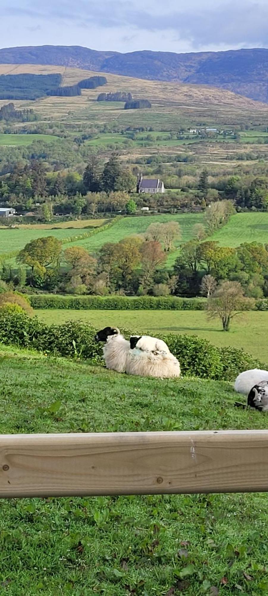 Country Suite - Spectacular Views Kilgarvan Esterno foto